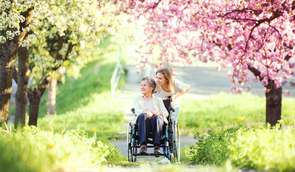Enkelin schiebt ihre Großmutter, die im Rollstuhl sitzt, durch einen Weg in einem großen Park, indem die Bäume blühen.