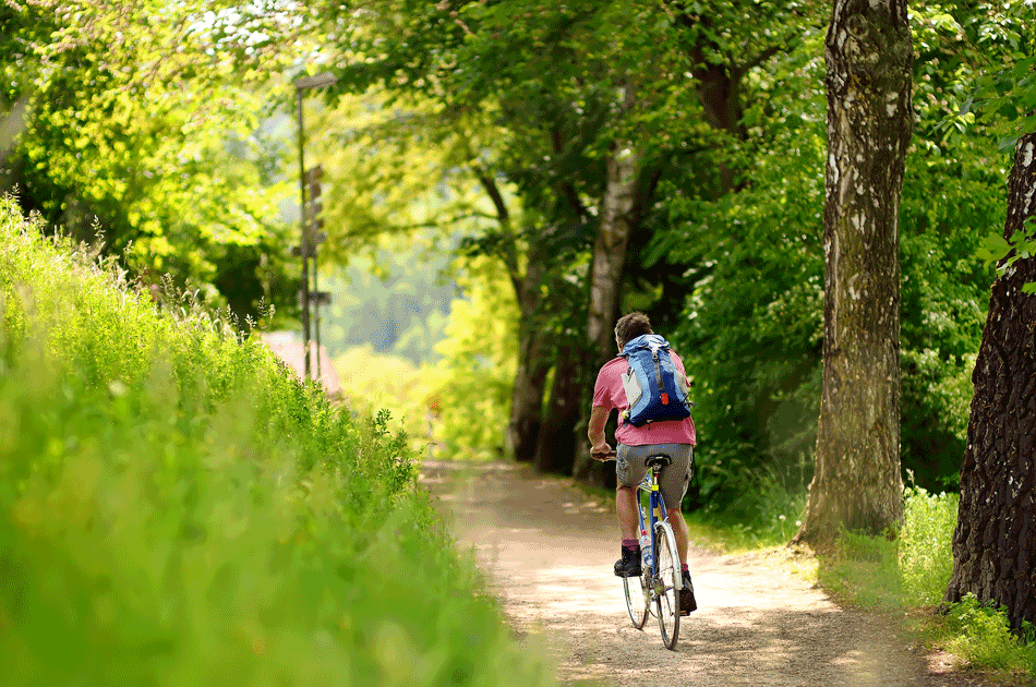 Ein Radwanderer fährt durch den Wald mit seinem Rad.