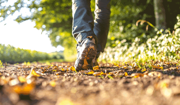 Ein Spaziergänger, nur die Füße sind Erkennbar, spaziert durch den Wald.