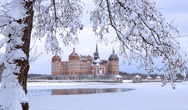 Die Moritzburg im Winter.